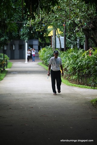 IMG_5510 IMG_5510