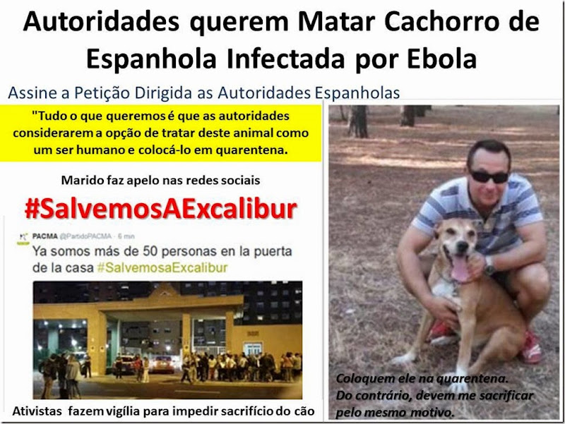 Autoridades querem Matar Cachorro de Espanhola Infectada por