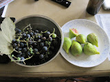 Concords and Figs