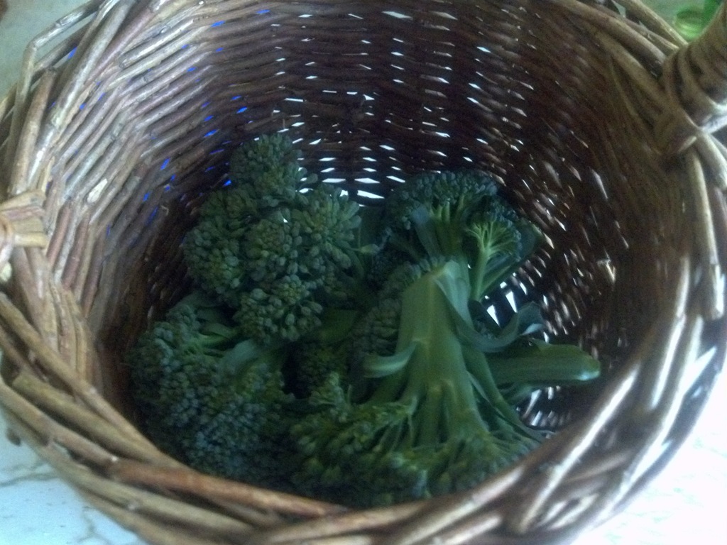 [2012-05-27_17-32-30_103%255B3%255D.jpg]