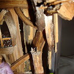 1458-8.JPG