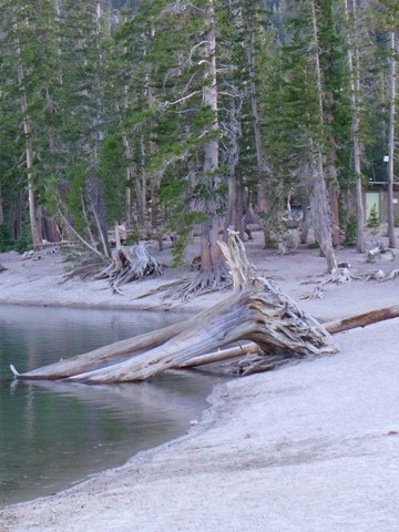 [mammoth%2520134%255B5%255D.jpg]