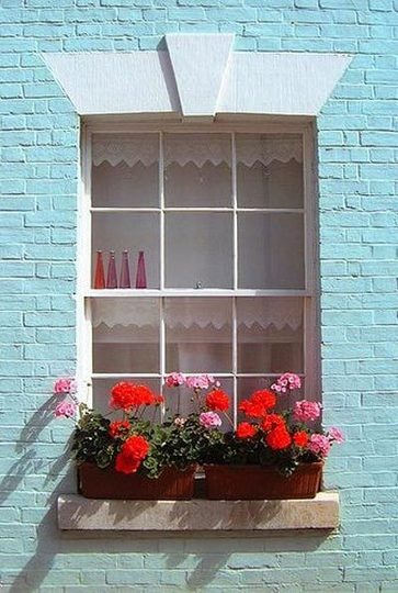 [windowbox65.jpg]