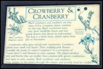 04w8 - Hike - Cranberry Sign