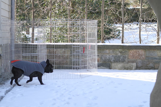 This snow feels really cold on my feet!  They've gotten so tender being inside so much.