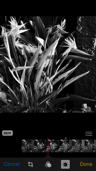 iOS 8 photos app black and white oopsy