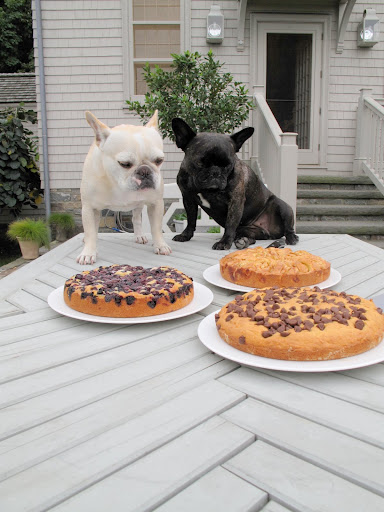 Three cakes - bluberry, chocolate chip, and apple!