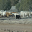 DSC_8187.JPG