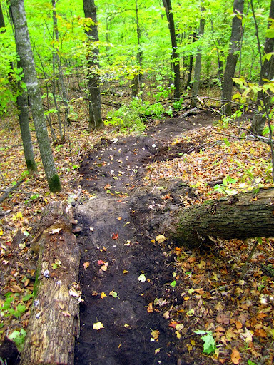 Short downhill section.