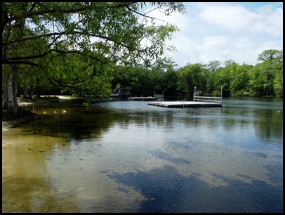 Monday at Wakulla Springs 060