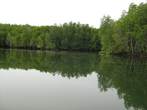 IMG_0293.jpg