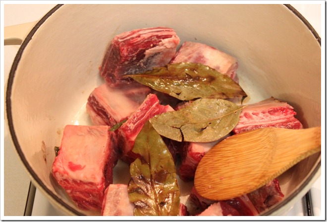 shortribsingreensauce2 shortribsingreensauce2