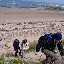 FMC Northumberland 2009 - 23.jpg