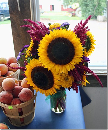 sunflowe and peaches mennonite farm