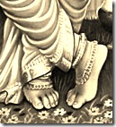 Krishna's lotus feet