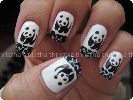 panda-bear1