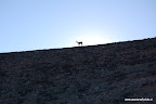 Ruta Costera Desierto Atacama