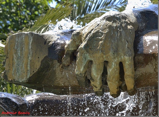 4_DSC6359x1