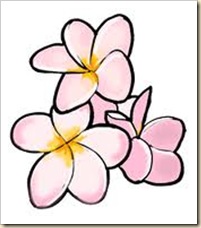 flowers flowers