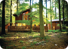 Stunning Christmas Holiday Log Cabins in the UK
