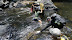 DSC04201.JPG