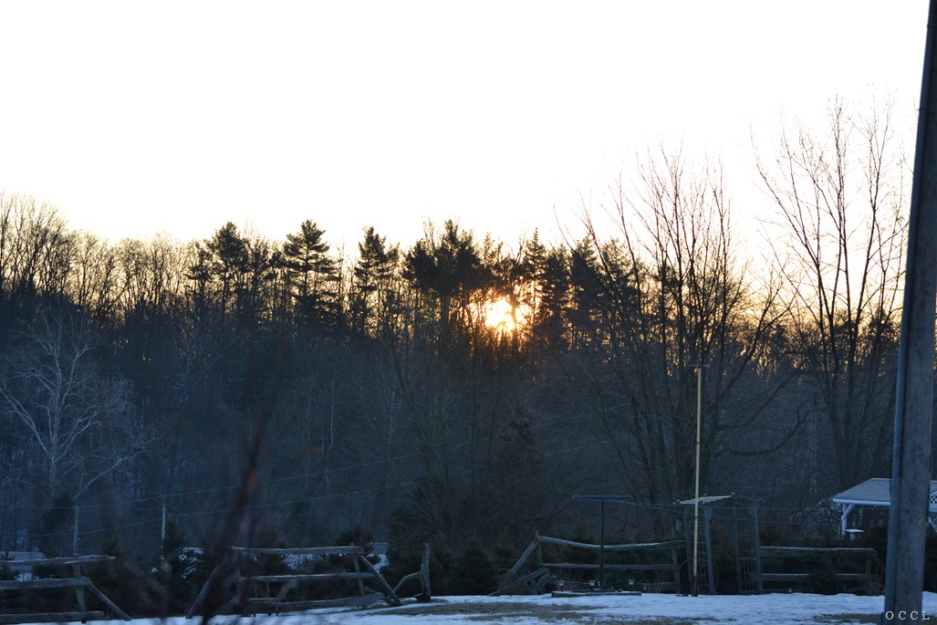 [DSC_4234%255B3%255D.jpg]