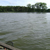 dsc03251.jpg