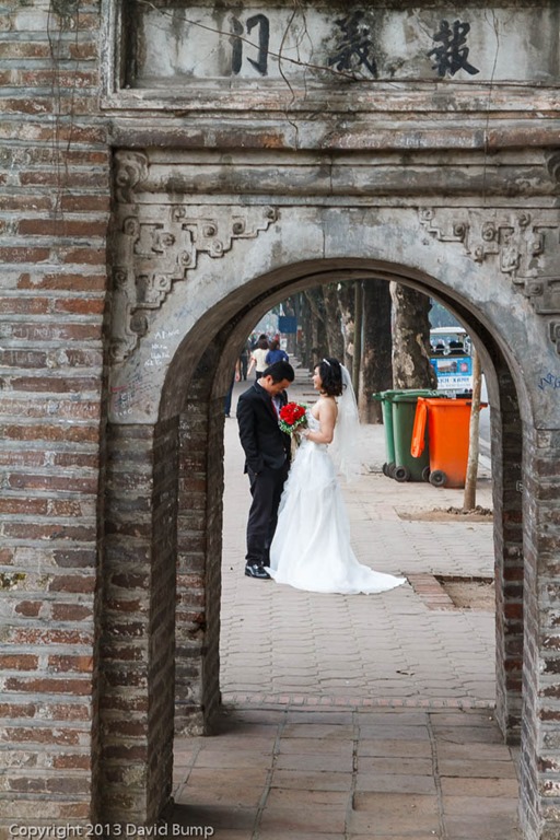 [WeddingArch%255B3%255D.jpg]