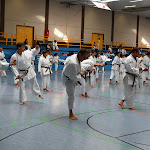 H25D2860.JPG