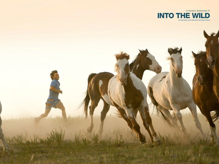 into-the-wild into-the-wild