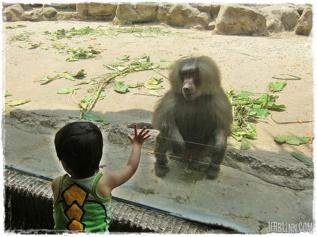[IMG_3585%255B9%255D.jpg]
