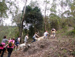 Trekking 2 (44) Trekking 2 (44)