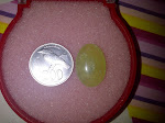 IMG-20111113-01724.jpg