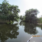 IMG_7808.JPG