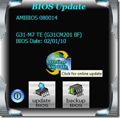 bios update