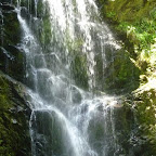P1000780.JPG