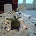 DSC00088.jpg