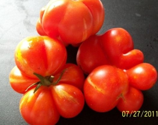 [Capture%255B293%255D.jpg]