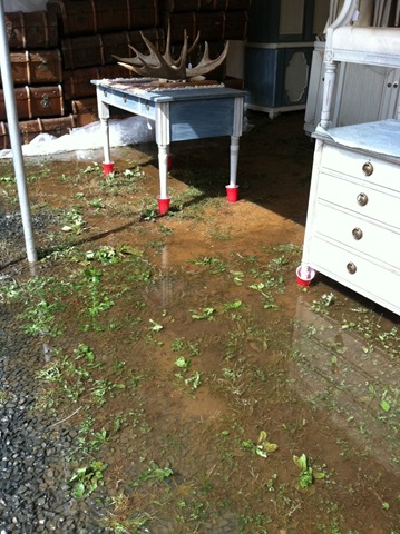 [brimfieldwet%2520cups%255B5%255D.jpg]