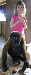 Lily is gathering up the courage to play with the rambunctious monkey.