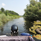 DSCN8318.JPG
