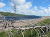 Cape Breton beach