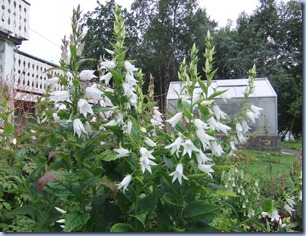 DSCF1724