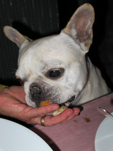 Yes, I DO deserve being hand fed.  The guest of honor should always be treated like royalty.