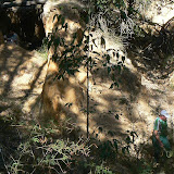 SlideshowFx Trial Version<br />(Picture size restricted)