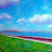 Howth and the Bull Wall in a sunny morning. 2008
Oil on canvas.
Pierre Emmanuel Godet
SOLD