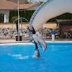 2010-05-09 Lipperswill (453).jpg