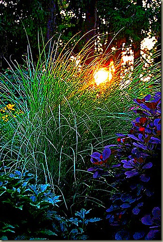 prowse grass entry_edited-1