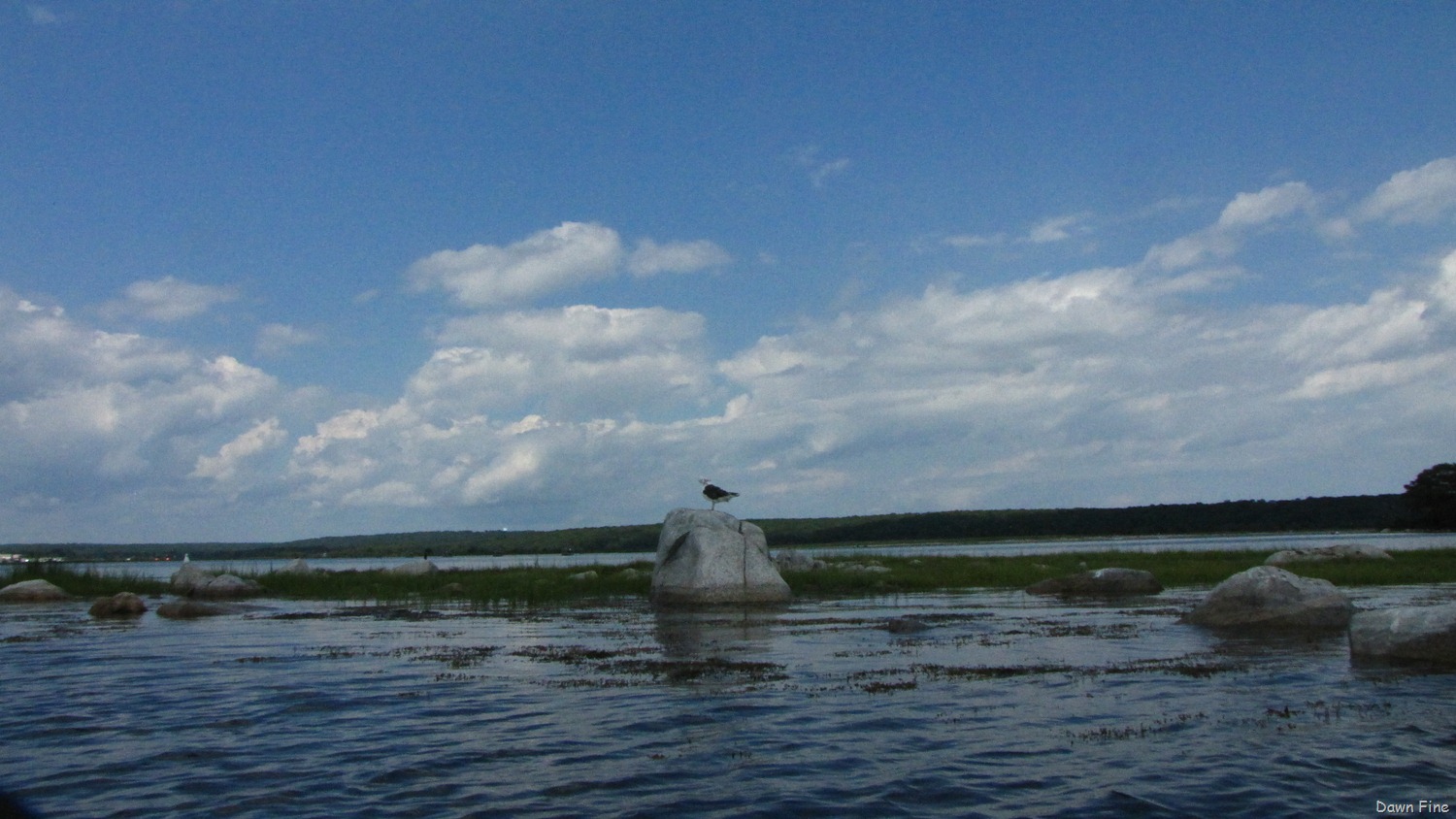 [Bluff%2520Point_003%255B3%255D.jpg]