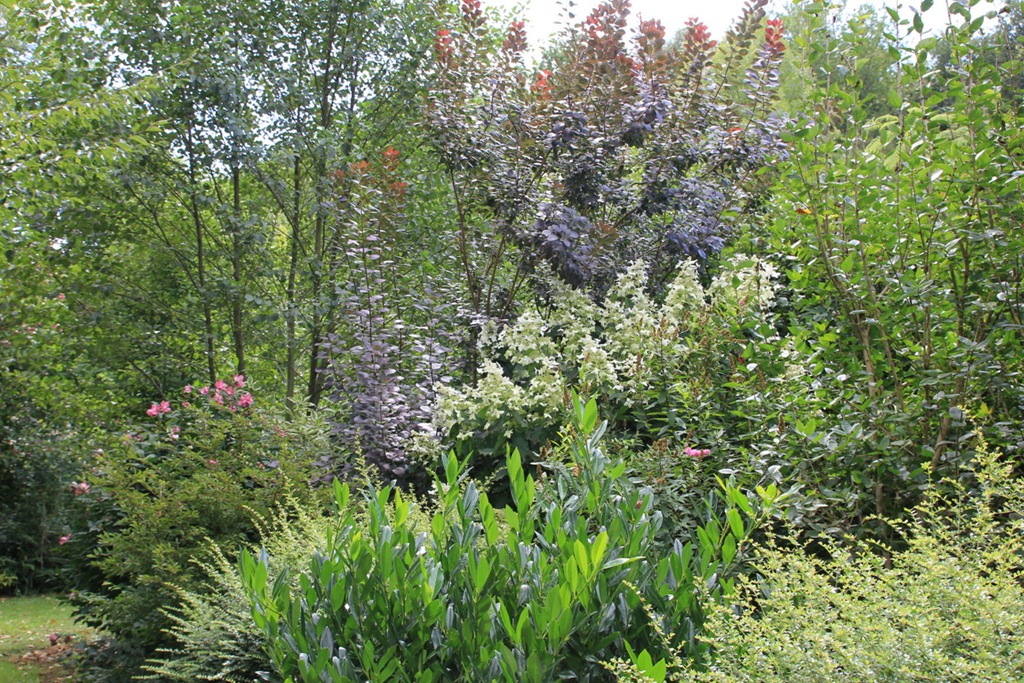 [IMG_62723.jpg]